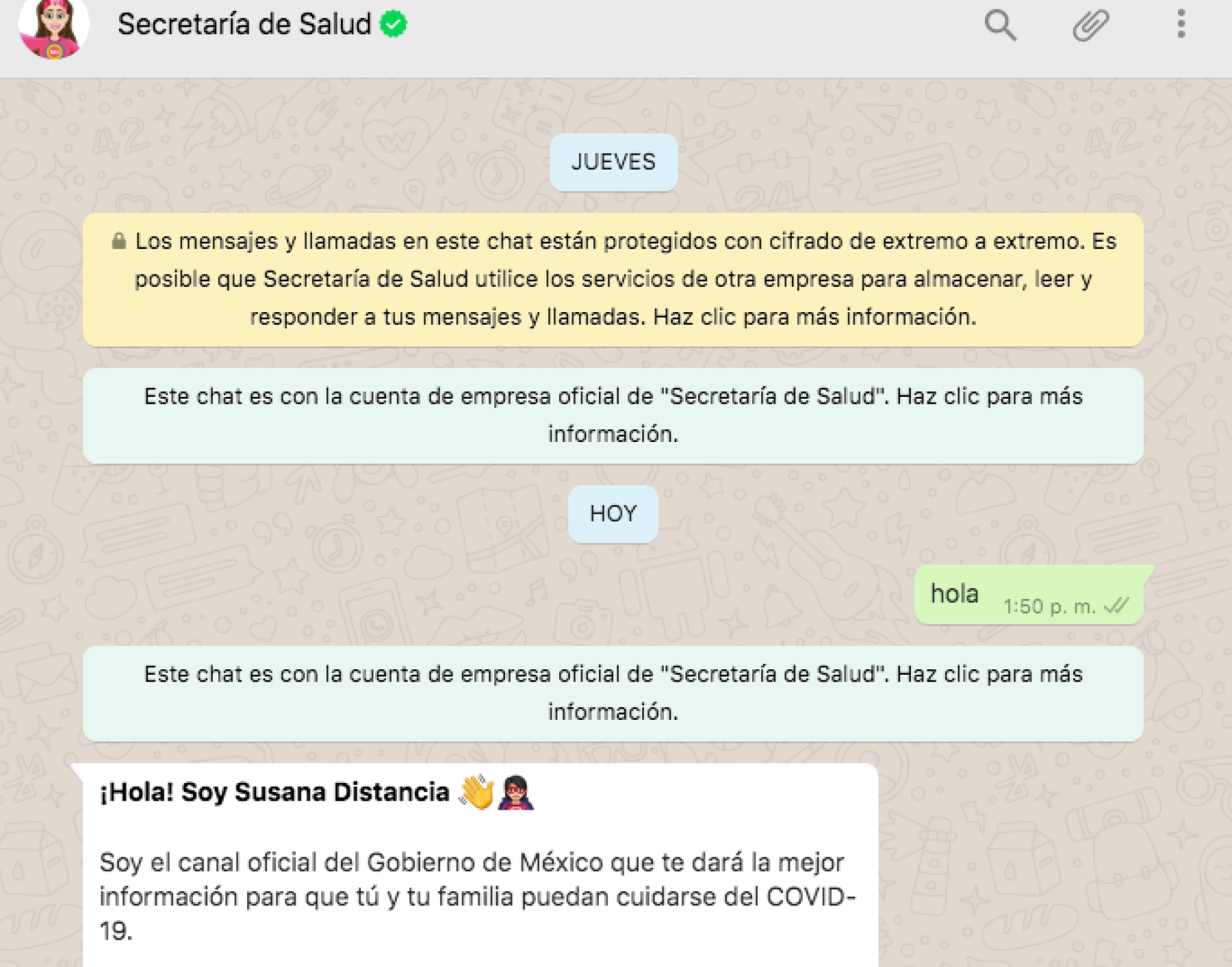 Ya podrás hacerle preguntas a Susana Distancia vía Whatsapp - Crónica de  Xalapa