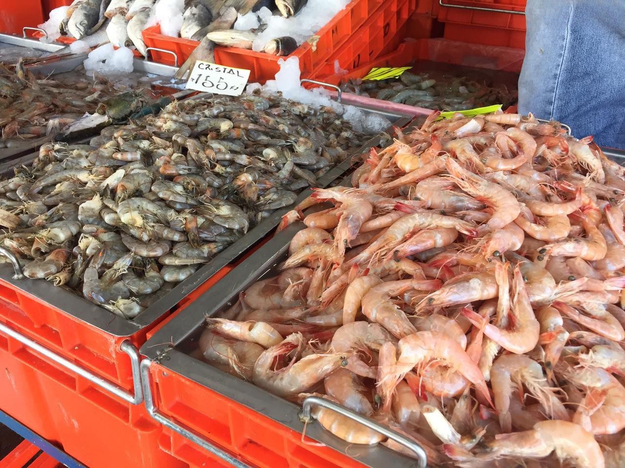 Venta de pescados y mariscos repuntan un 80% en municipio de Veracruz -  Crónica de Xalapa