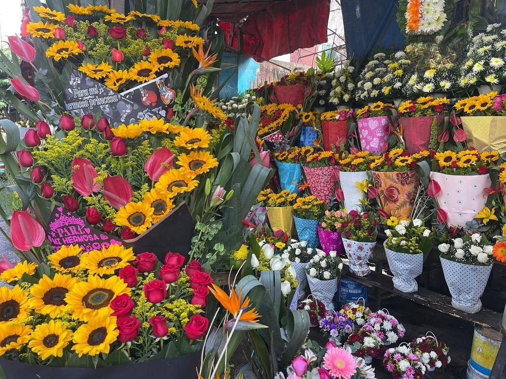 Precio de flores aumentan para el 14 de febrero por cambios en clima -  Crónica de Xalapa
